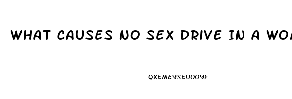 What Causes No Sex Drive In A Woman