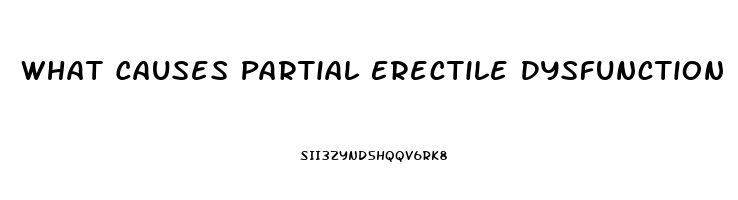 What Causes Partial Erectile Dysfunction