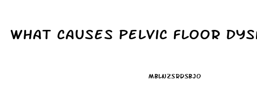 What Causes Pelvic Floor Dysfunction