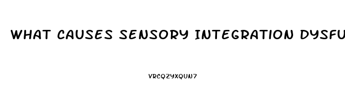 What Causes Sensory Integration Dysfunction