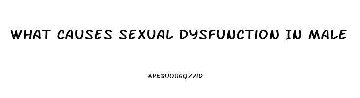 What Causes Sexual Dysfunction In Male