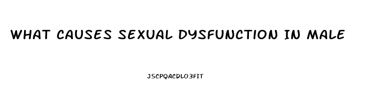 What Causes Sexual Dysfunction In Male