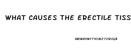 What Causes The Erectile Tissue To Become Stiff