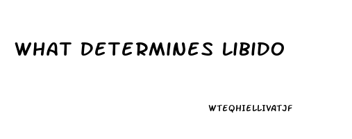 What Determines Libido