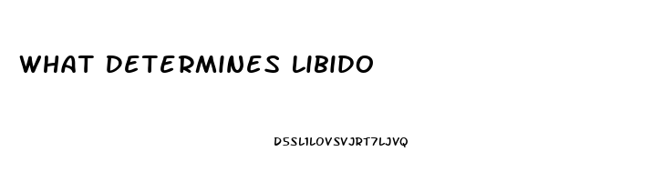 What Determines Libido