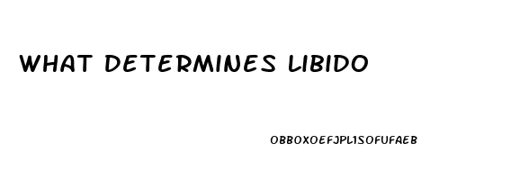 What Determines Libido