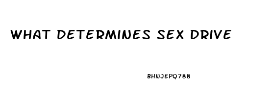 What Determines Sex Drive