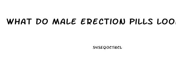 What Do Male Erection Pills Look Like