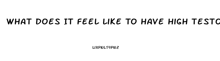 What Does It Feel Like To Have High Testosterone Libido