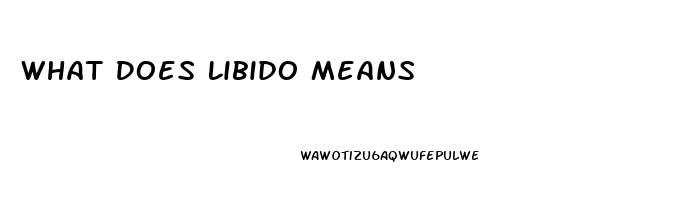 What Does Libido Means