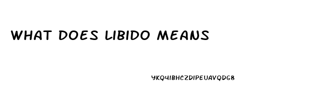 What Does Libido Means