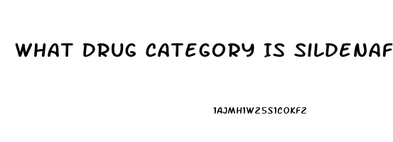 What Drug Category Is Sildenafil