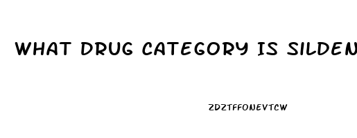 What Drug Category Is Sildenafil