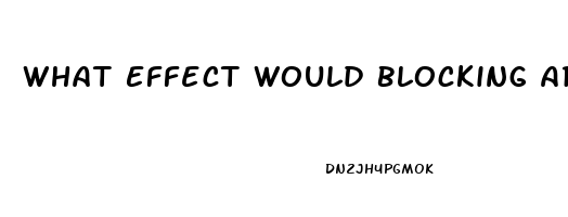 What Effect Would Blocking Aromatase Have On Male Sex Drive