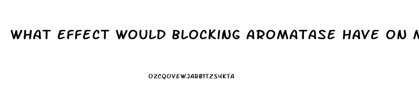What Effect Would Blocking Aromatase Have On Male Sex Drive