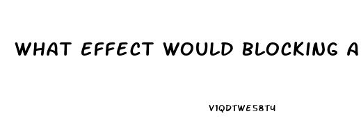 What Effect Would Blocking Aromatase Have On Male Sex Drive