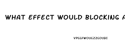 What Effect Would Blocking Aromatase Have On Male Sex Drive