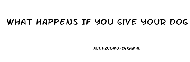 What Happens If You Give Your Dog Cbd Oil