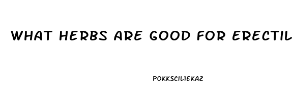 What Herbs Are Good For Erectile Dysfunction