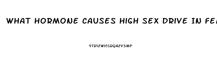 What Hormone Causes High Sex Drive In Females