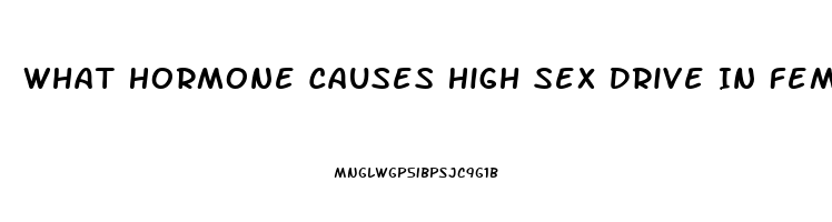 What Hormone Causes High Sex Drive In Females