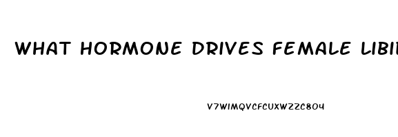 What Hormone Drives Female Libido