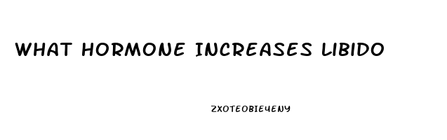 What Hormone Increases Libido