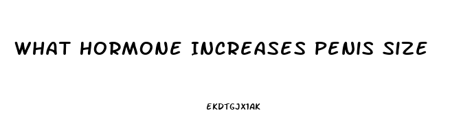 What Hormone Increases Penis Size