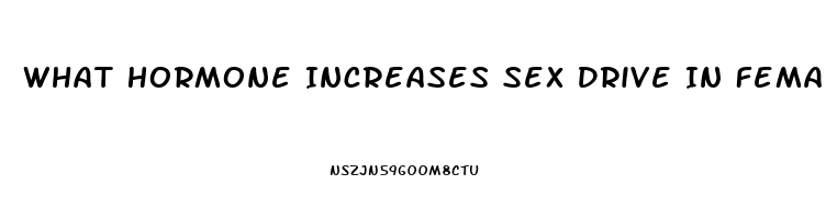 What Hormone Increases Sex Drive In Females