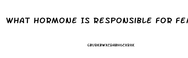 What Hormone Is Responsible For Female Libido