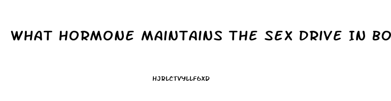 What Hormone Maintains The Sex Drive In Both Men And Women