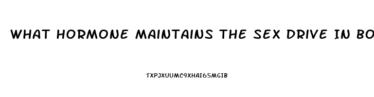 What Hormone Maintains The Sex Drive In Both Men And Women