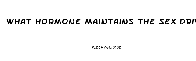 What Hormone Maintains The Sex Drive In Both Men And Women