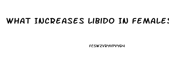 What Increases Libido In Females