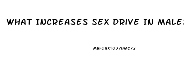 What Increases Sex Drive In Males