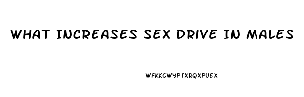 What Increases Sex Drive In Males