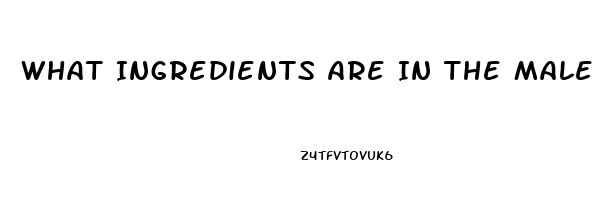 What Ingredients Are In The Male Enhancement Pill Red