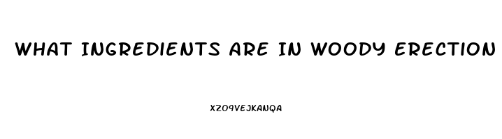 What Ingredients Are In Woody Erection Pills