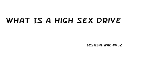 What Is A High Sex Drive