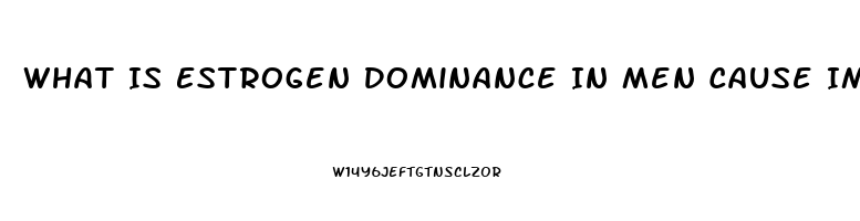 What Is Estrogen Dominance In Men Cause Impotence