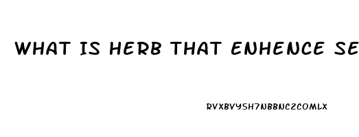 What Is Herb That Enhence Sex Drive Called