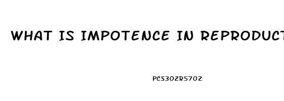 What Is Impotence In Reproductive