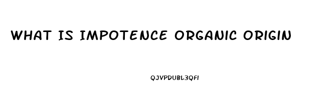 What Is Impotence Organic Origin