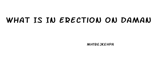 What Is In Erection On Daman Pills