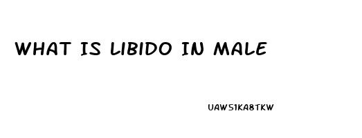 What Is Libido In Male