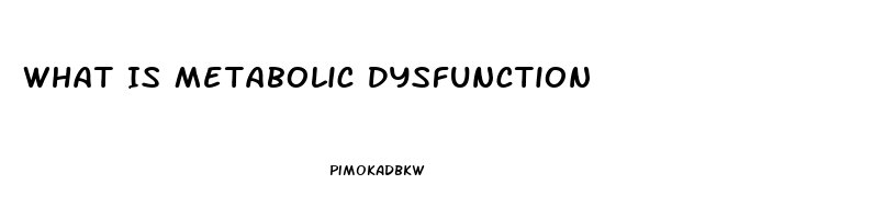 What Is Metabolic Dysfunction