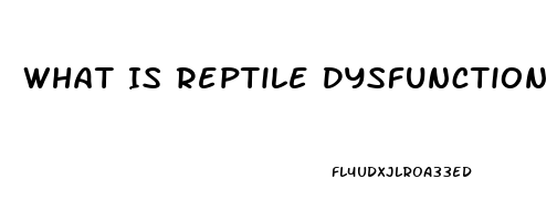 What Is Reptile Dysfunction