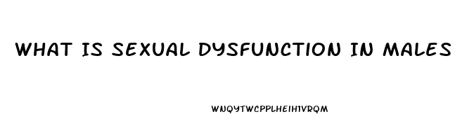 What Is Sexual Dysfunction In Males