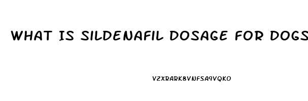 What Is Sildenafil Dosage For Dogs