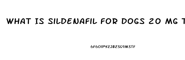 What Is Sildenafil For Dogs 20 Mg Tablets